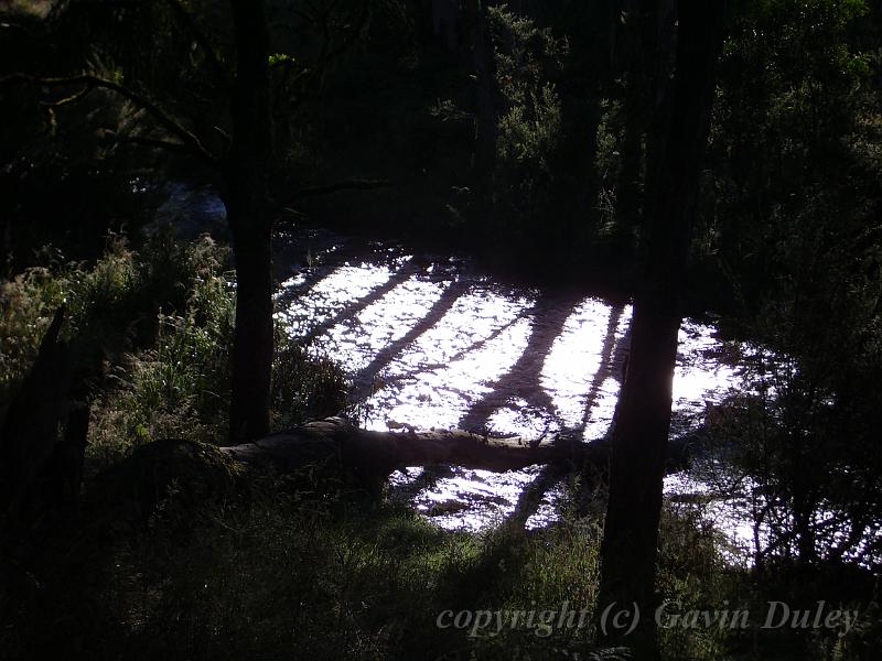 Light on the water, New England National ParkIMGP1396.JPG